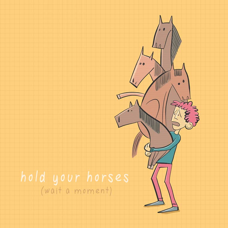 hold your horses