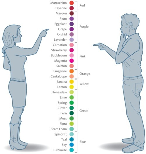 สีต่างๆ ในสายตาผู้ชายและผู้หญิง