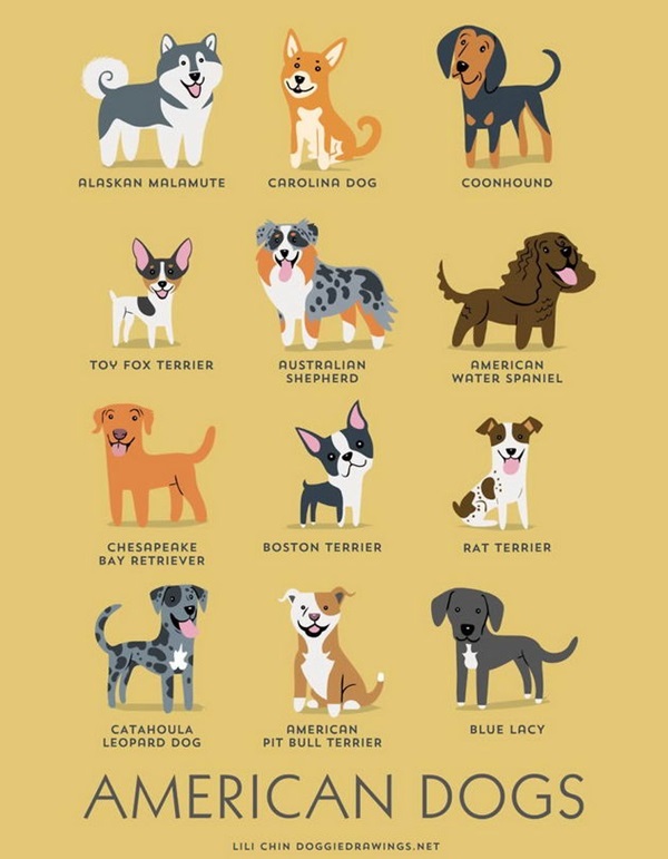 วิธีการดูความแตกต่าง สุนัขสายพันธุ์ต่างๆ จากทั่วโลก (มีภาพประกอบ)