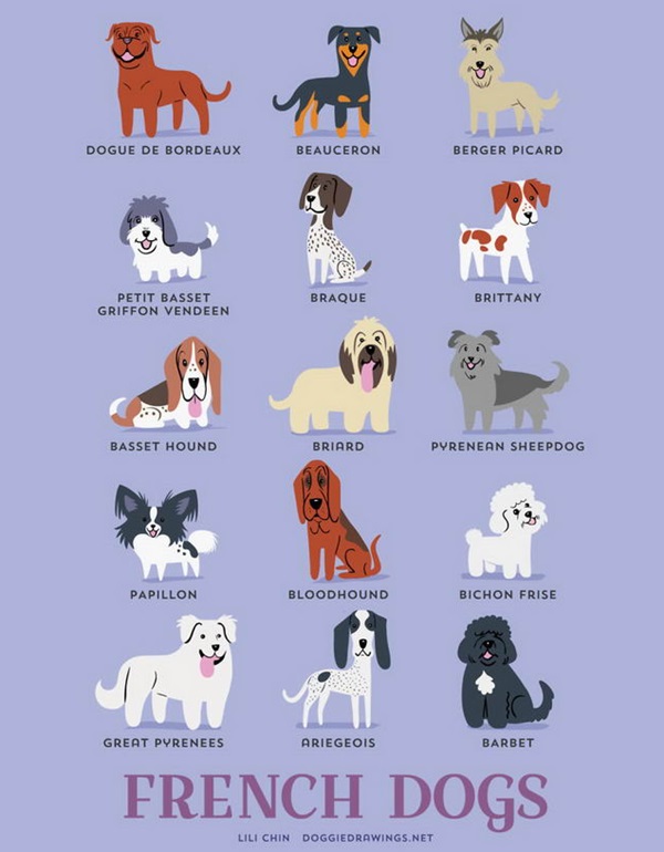 French Dogs