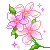 flowers-icon (10)