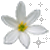 flowers-icon (12)