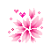 flowers-icon (2)