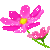 flowers-icon (3)