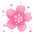 flowers-icon (34)