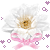 flowers-icon (47)