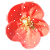 flowers-icon (48)