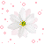 flowers-icon (56)