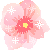 flowers-icon (6)