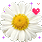flowers-icon (83)