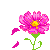 flowers-icon (85)
