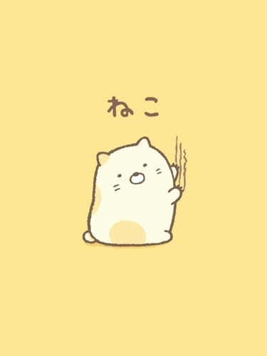 Neko (เนโกะ) แมว