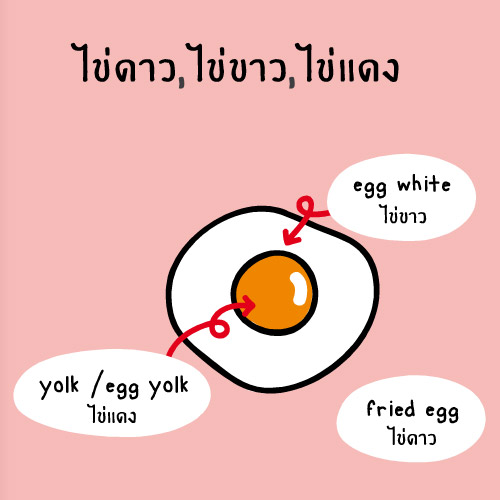 ไข่ดาว ไข่ขาว ไข่แดง เรียกยังไงนะ?