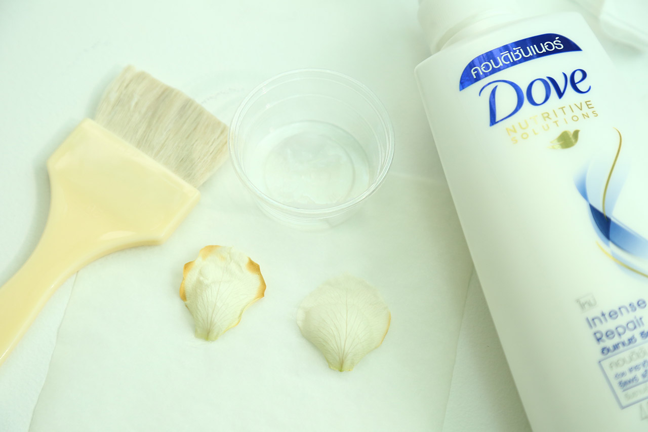 New-Dove-Nutritive-Solutions-Workshop_26