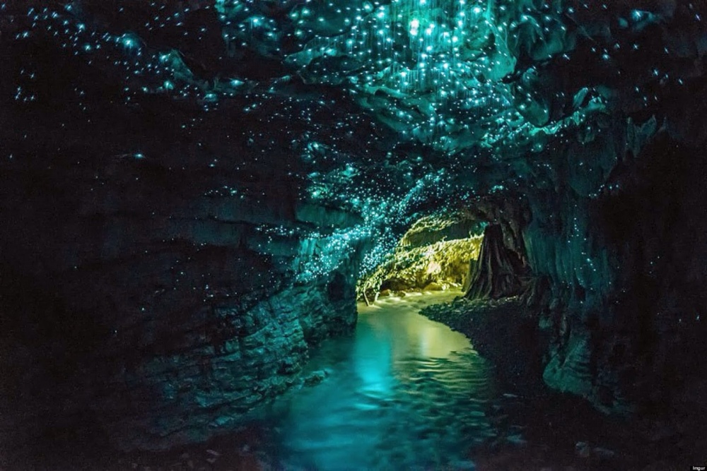 Fireflies dancing in a cave, New Zealand