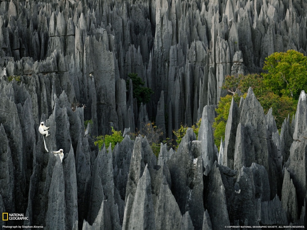 Tsingy de Bemaraha, a ’stone forest’ in Madagascar