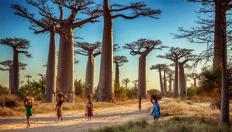 Madagascar ต่างประเทศ ท่องเที่ยว เกาะ เกาะมาดากัสการ์