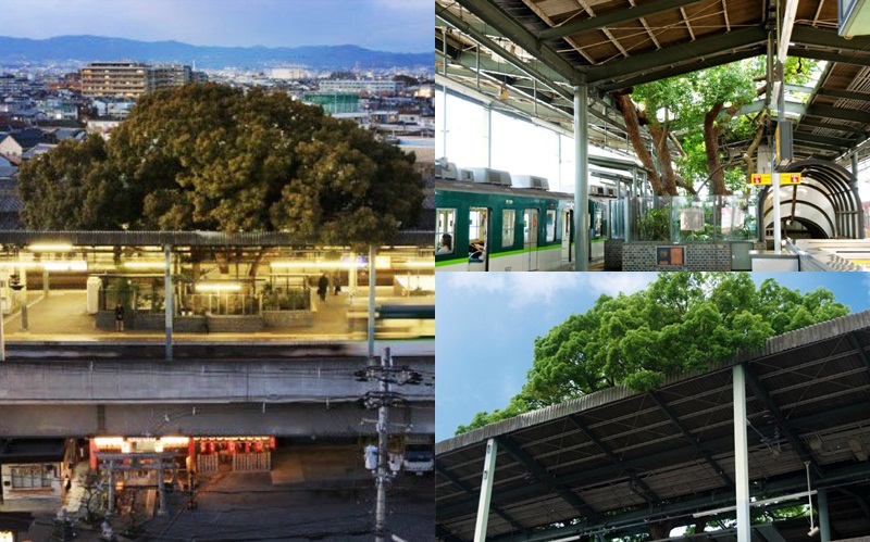 osaka ญี่ปุ่น ต้นไม้เก่าแก่ สถานีรถไฟญี่ปุ่น