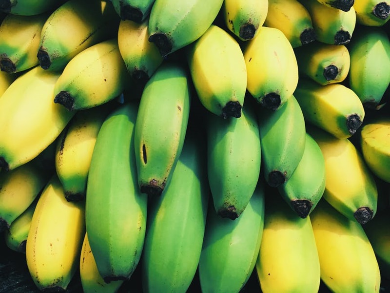 The Mongee Banana กล้วย พืช แปลก