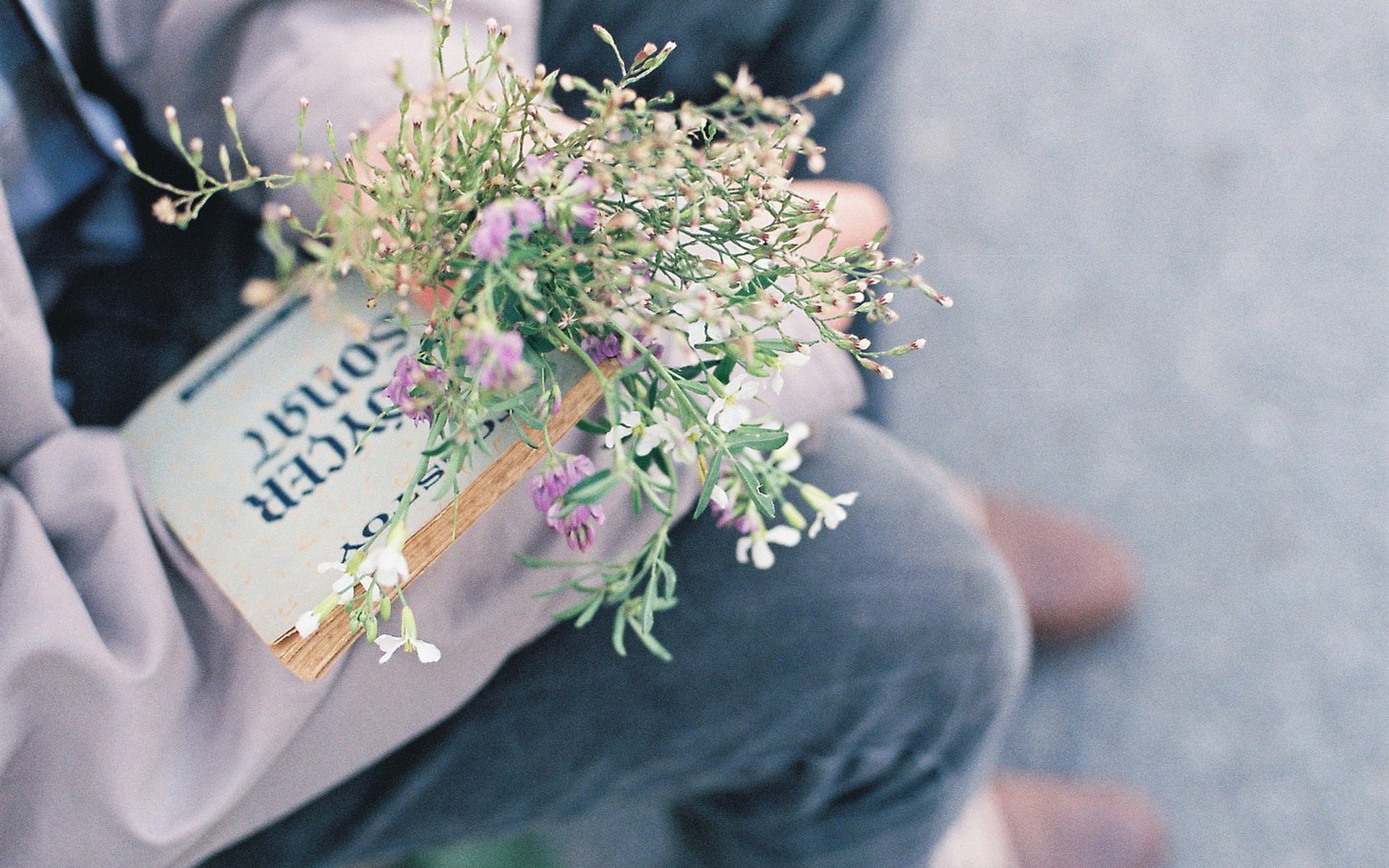 These flowers are beautiful