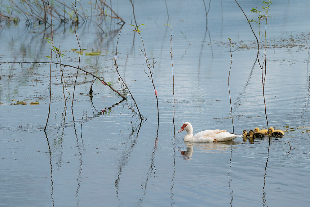 ชื่อภาพ : Family