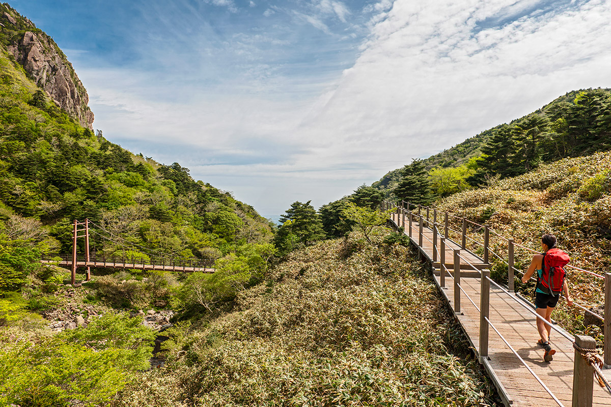 Gwaneumsa hiking trail to Hallasan on Jeju Island, Seogwipo