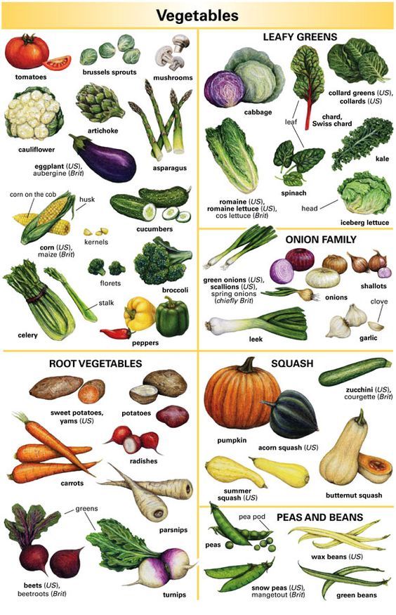 คำศัพท์ภาษาอังกฤษเกี่ยวกับผัก (Vegetables) กว่า 72 คำ คำอ่าน-คำแปล