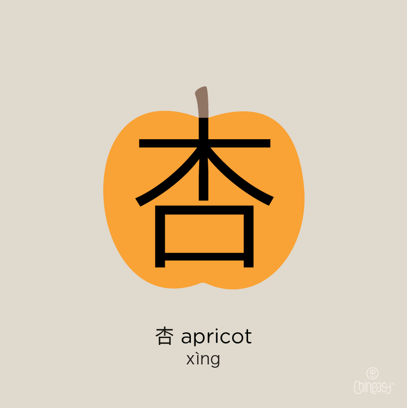 เรียนรู้คำศัพท์ ตัวอักษรภาษาจีน จากภาพและความหมาย