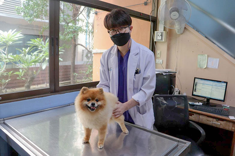 ลูกสุนัขไม่ได้รับการฉีดวัคซีน