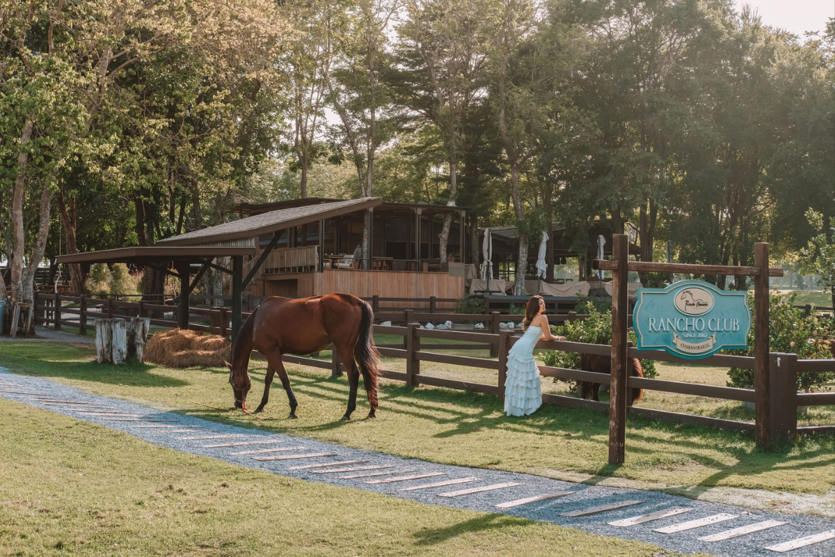 กิจกรรมเขาใหญ่