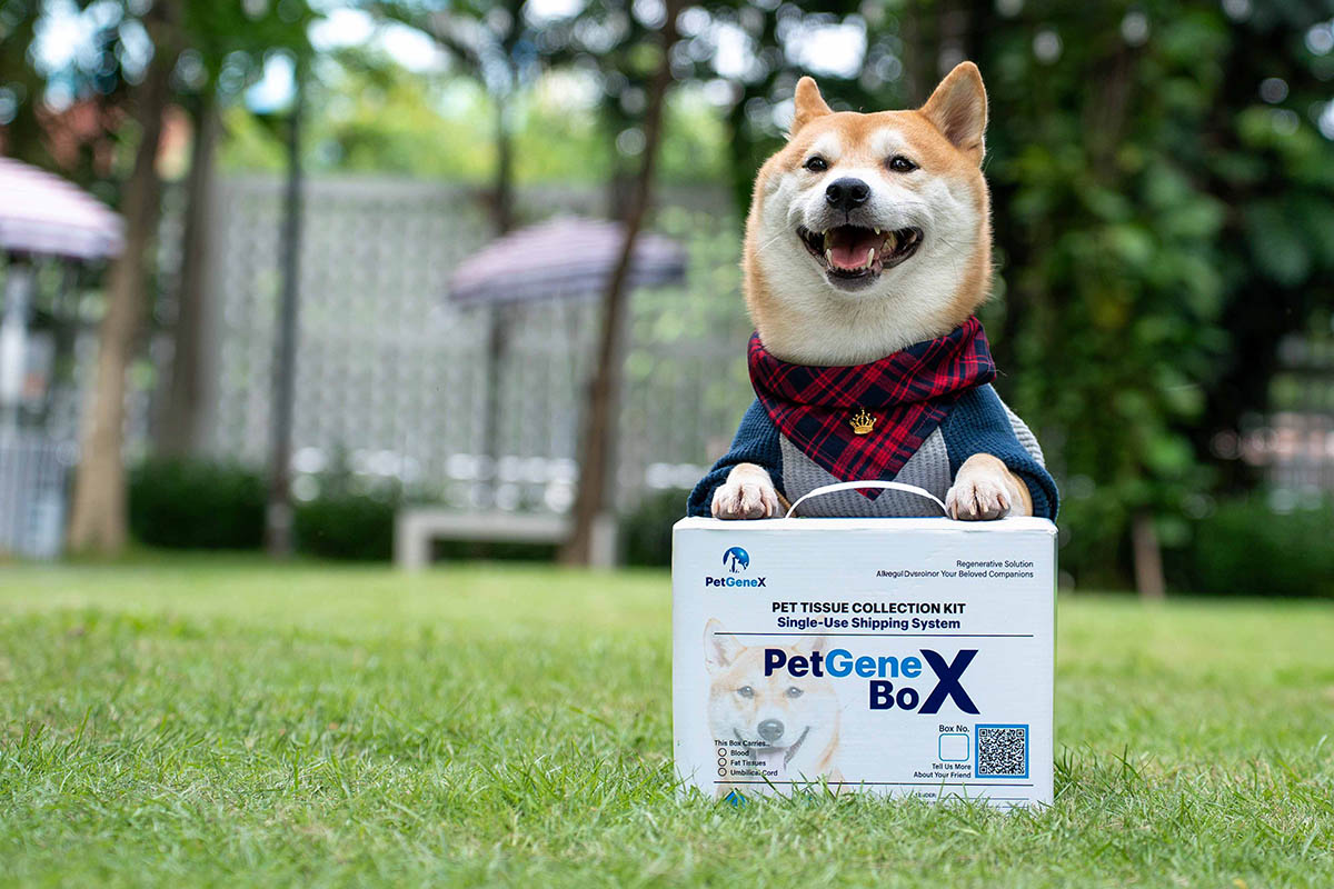 นิลมังกร สัตว์เลี้ยง สเต็มเซลล์